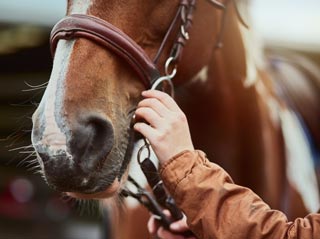 Camille, passionnée par les chevaux, pratique l’équitation pour mieux vivre avec sa sclérose en plaques.