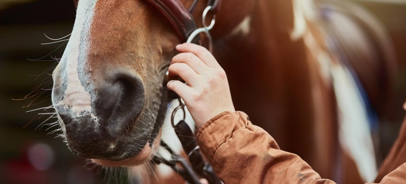 Camille, passionnée par les chevaux, pratique l’équitation pour mieux vivre avec sa sclérose en plaques.
