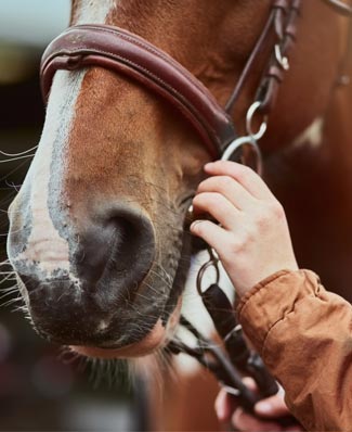 Camille, passionnée par les chevaux, pratique l’équitation pour mieux vivre avec sa sclérose en plaques.